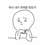 sweet 두부
