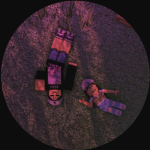 nonNoobies
