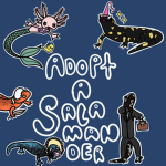 adopt a salamander