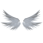 Divine Archangel Wings