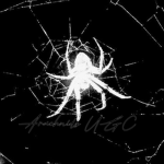 Arachnids UGC