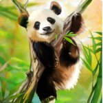 Happyy Pandas!