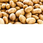 The Sassy Potato’s