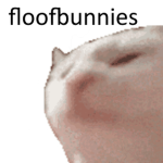 f̶l̶o̶o̶f̶ ̶b̶u̶n̶n̶i̶e̶s̶