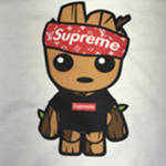 Supreme Est 2020
