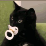 ティーキンフォレバ