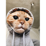 UzUmaKiz :]