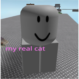my real cat