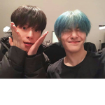 FLAMINGO AND BTS FANCLUB E