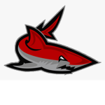 Fins UP!