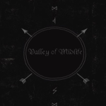 Valley of Midlife