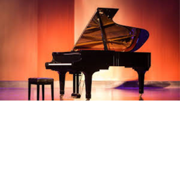 Scene and piano for events!