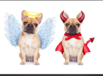 Devil or angel Group