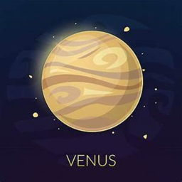 The Surface Of Venus