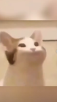 Happy Popcat