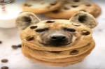 Trimᅠᅠᅠ