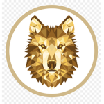 Golden wolf clothing