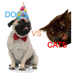 Cats Vs Dogs