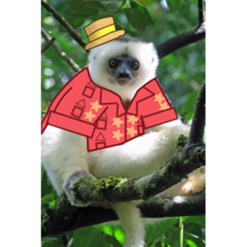 Niko Worshipping Temple