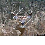 Opening Season - Hunting