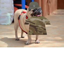 Pug Union Army training grounds
