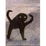 THIS IS JUST A GR0UP