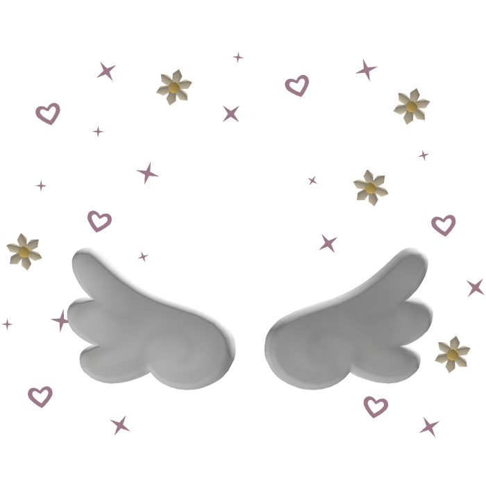 Angel Wings and Flowers Aura