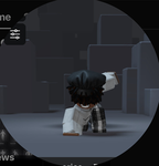 Wilplayz