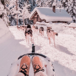 ~Snowy Trails!~