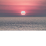 The Pink Sunshine