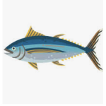 THE FISH OF ROBLOX