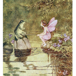 fairy frogs！！