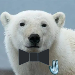 PolarVR Development