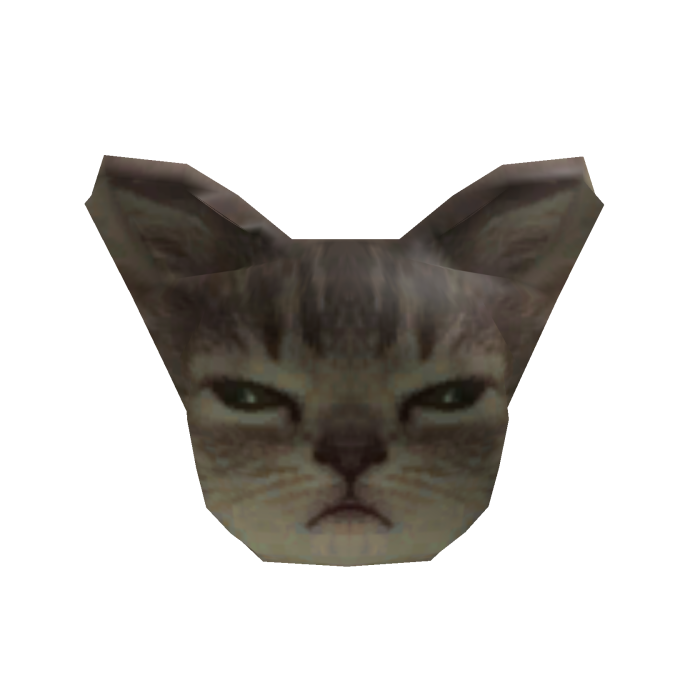 tired cat
