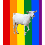 Goat Fan Group