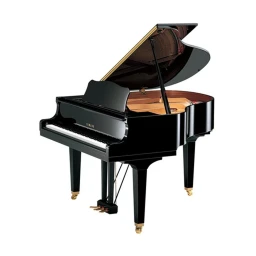 training room (luxury piano) icon