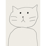 Purkour cats