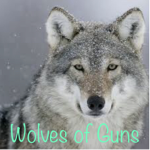 Wolves of Guns