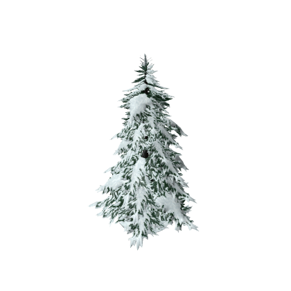 Snow tree
