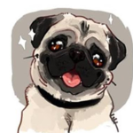 Pug pug :3