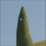 Blox Fruits Community