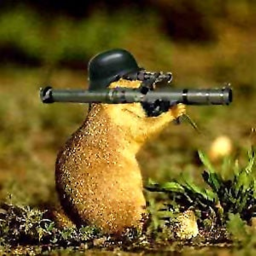 bazuka war