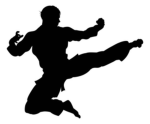 [JTA] Jimster's Taekwondo Academy