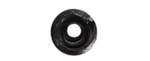 The Wheel of Ṫime