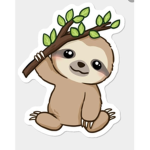 Amazing sloths group