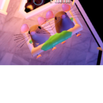 Goofy_Goofy