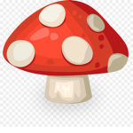 Mushroom Community!