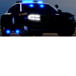 Law Enforcement Program