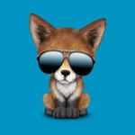foxes cool