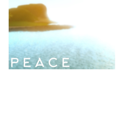 Darwin Peacefull Land